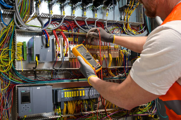 Best Electric Panel Repair  in Fort Denaud, FL